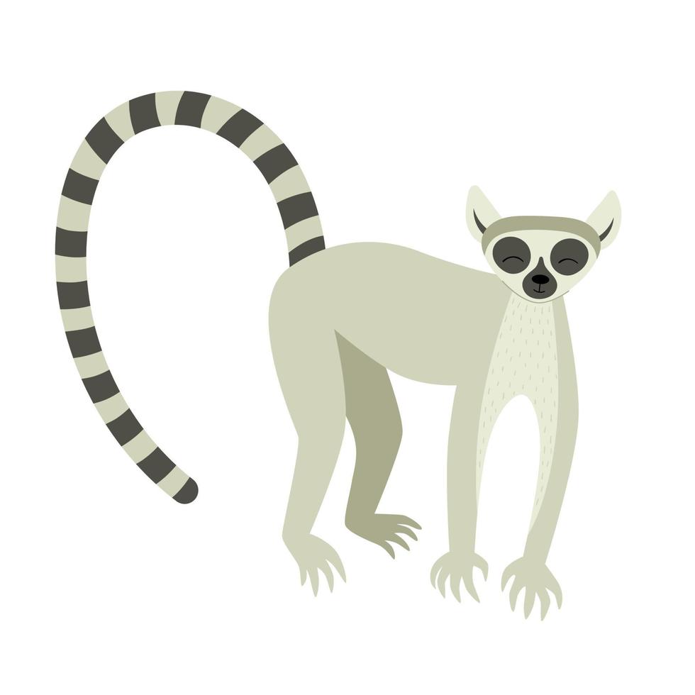lindo lémur exótico. animales de madagascar y africa. ilustración infantil vectorial en estilo plano vector