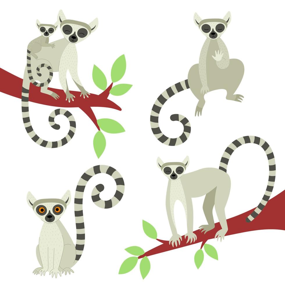 A set of lemurs in different poses. Exotic cute animals of madagascar and africa. Vector illustration in flat style