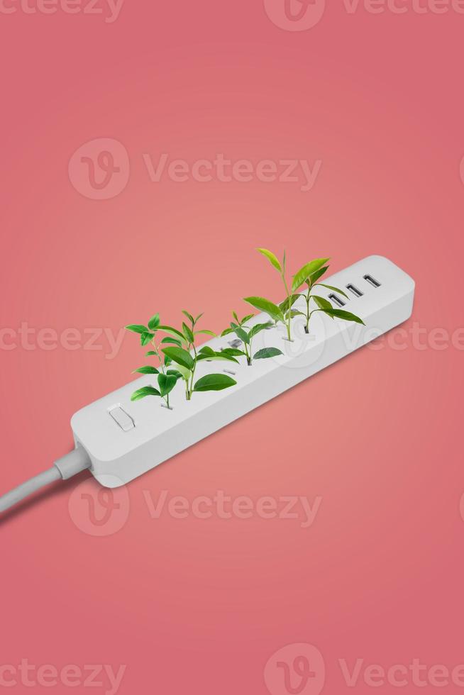 White extension with plants inside. Electrical power white strip or extension block with sockets on pink background. Close up. Eco concept. Alternative energy. Turn off electronics. photo