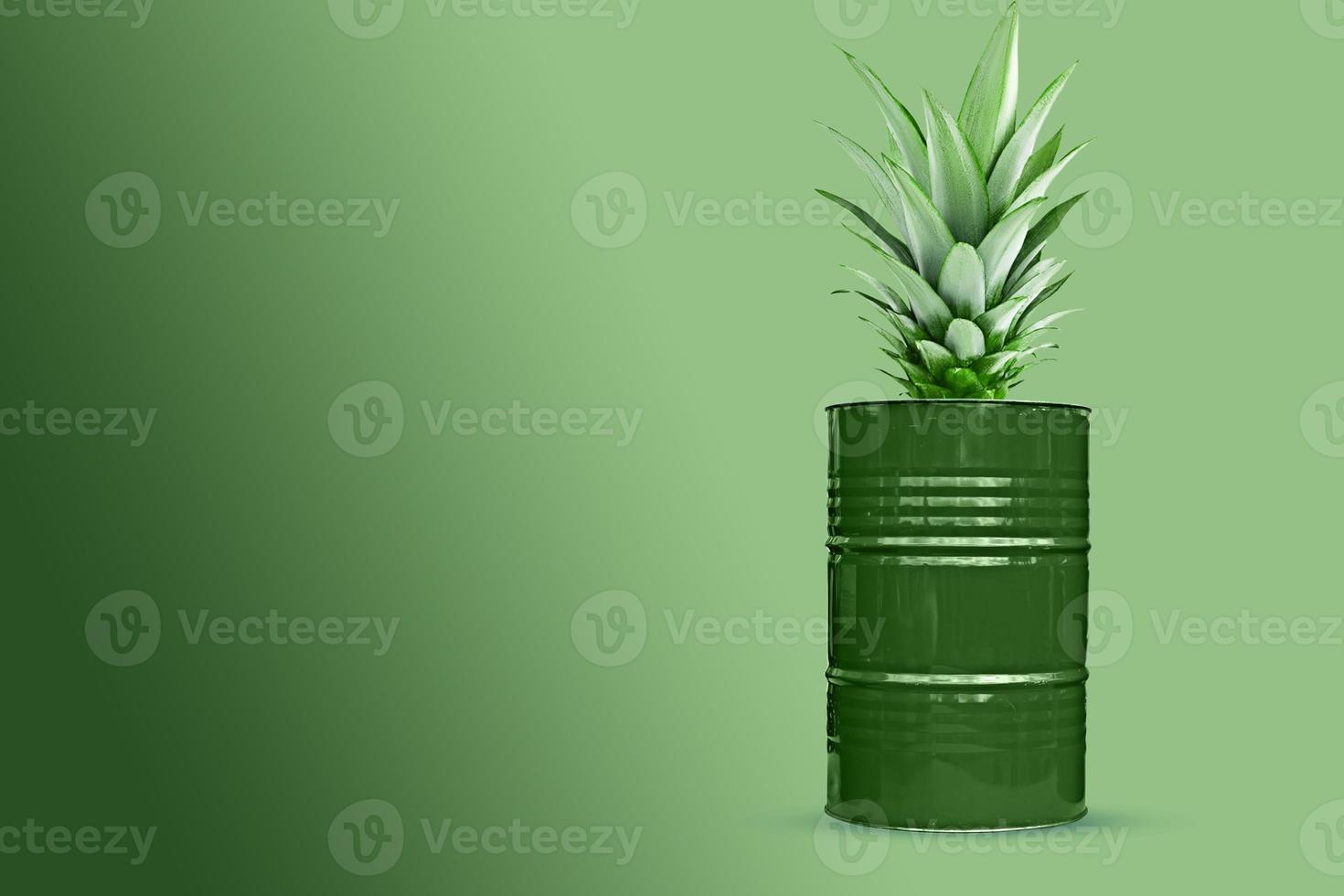 Green oil barrel with pineapple leaves on green background. Banner with copy space ready for a text. Creative concept. photo