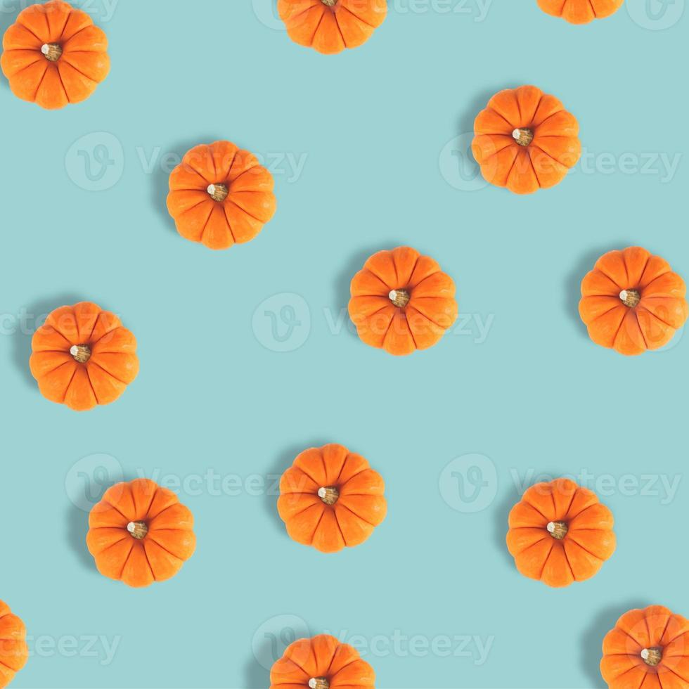 Many pumpkins on pastel blue background. Fall autumn halloween concept. Flat lay, top view. Autumn pattern. photo