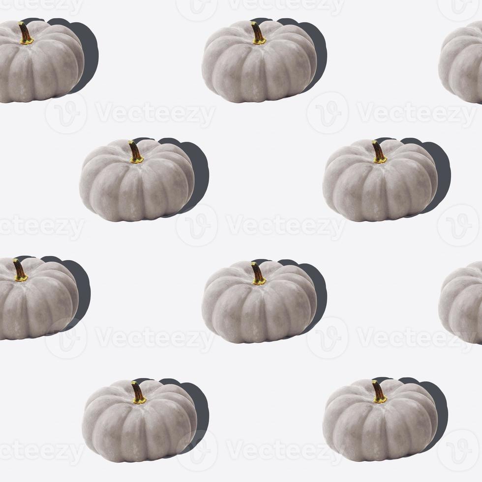 Grey pumpkin with hard light on pastel background. Minimal Autumn concept. Fall minimal composition. photo