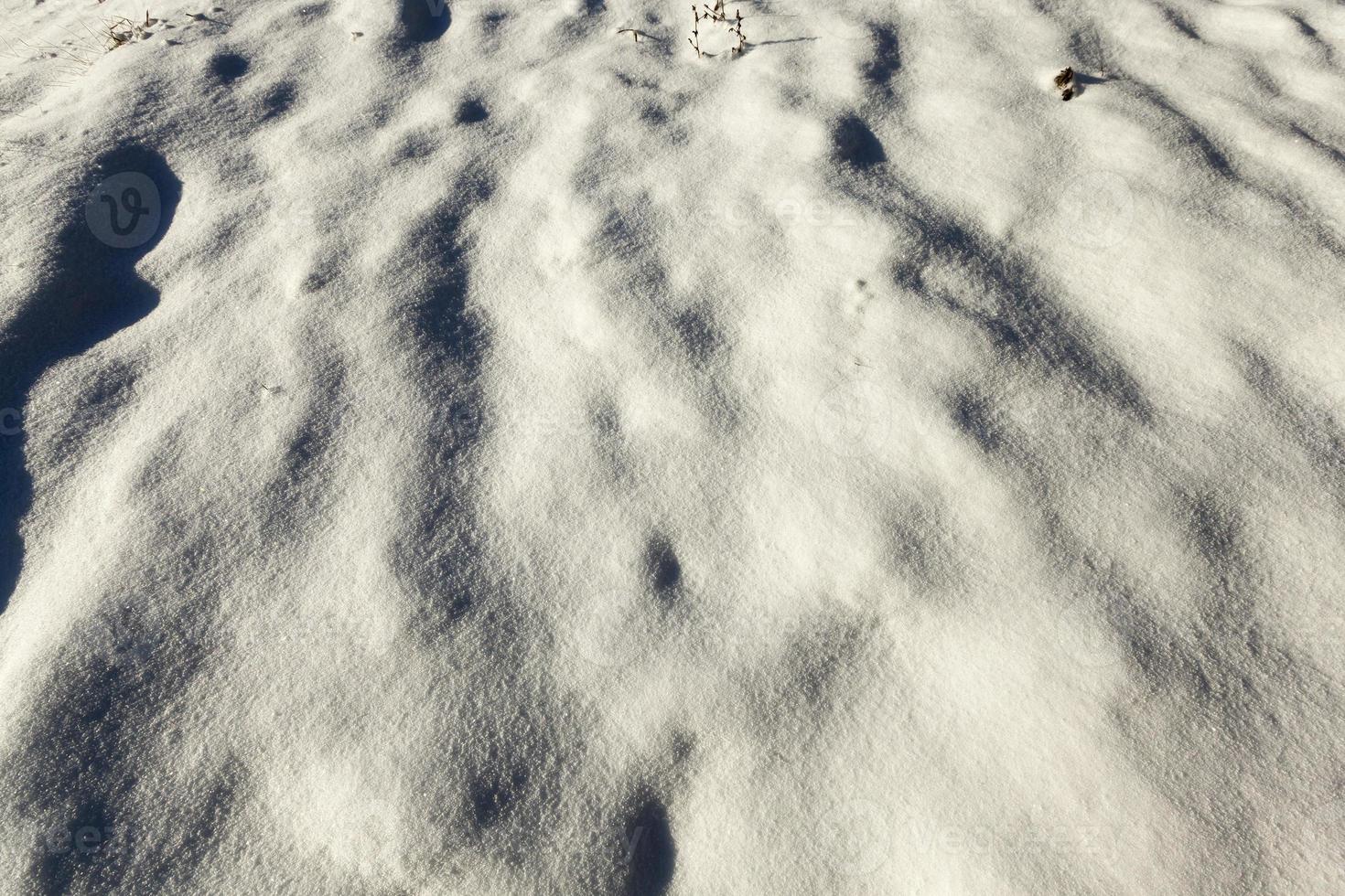 foto de nieve, primer plano