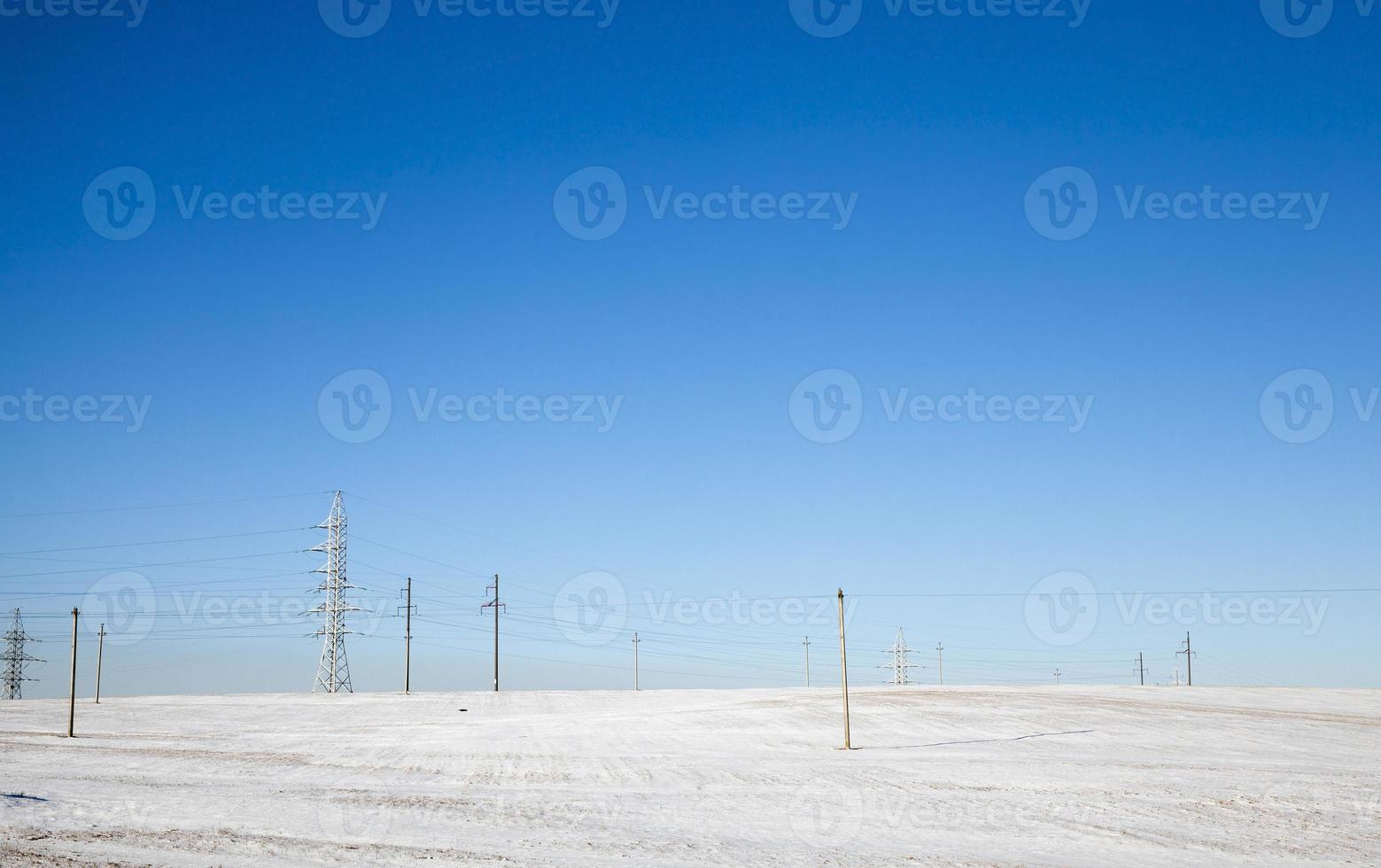 Snow Sunny snow electric poles photo