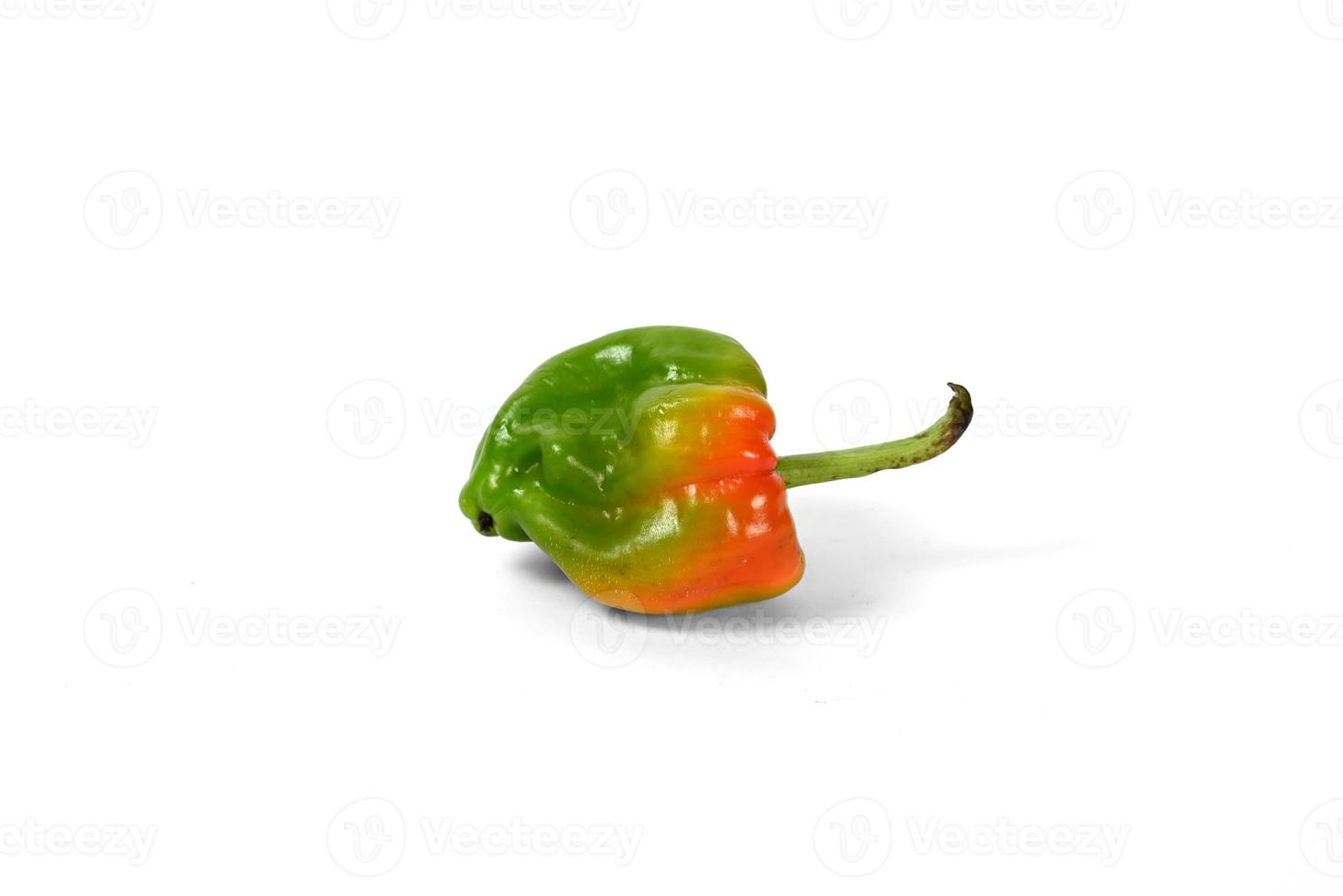 green bell pepper on white background photo