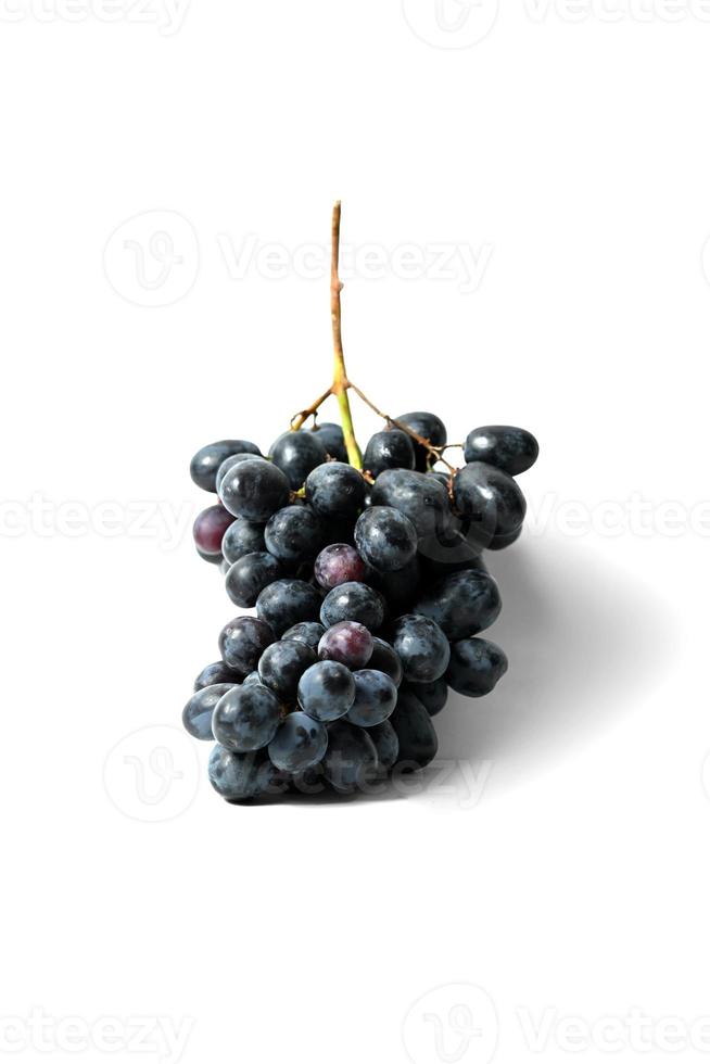 uvas negras aisladas sobre fondo blanco foto