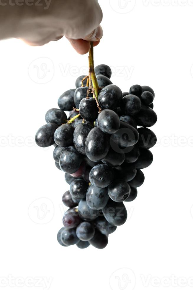 Black grapes isolated on white background photo