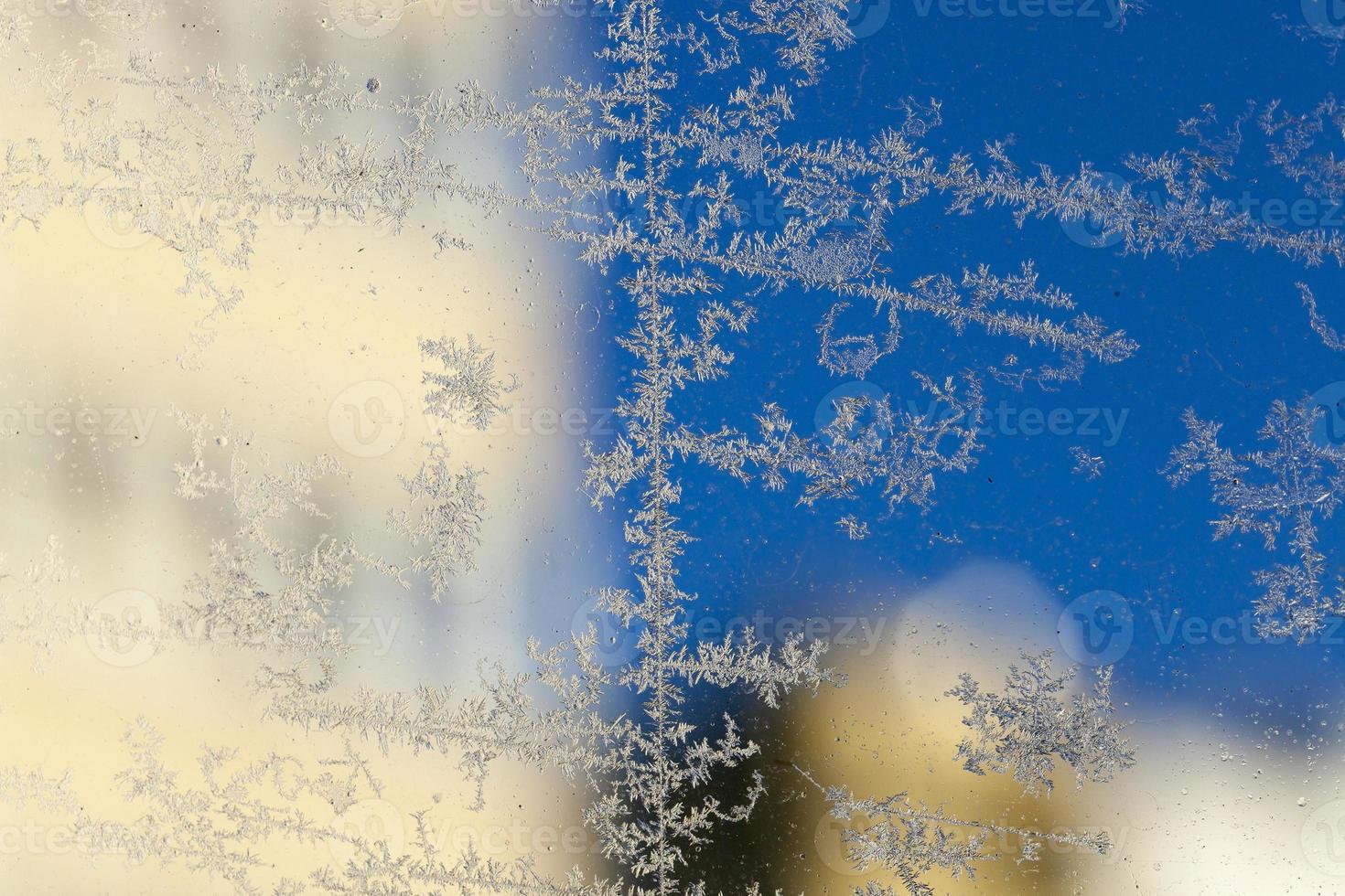rime on the glass photo