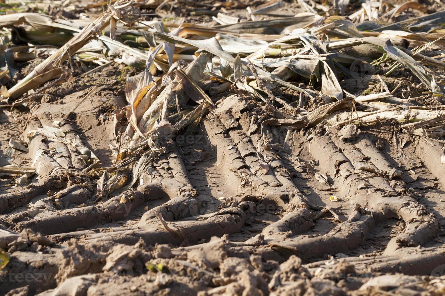 trail tractor, close up photo