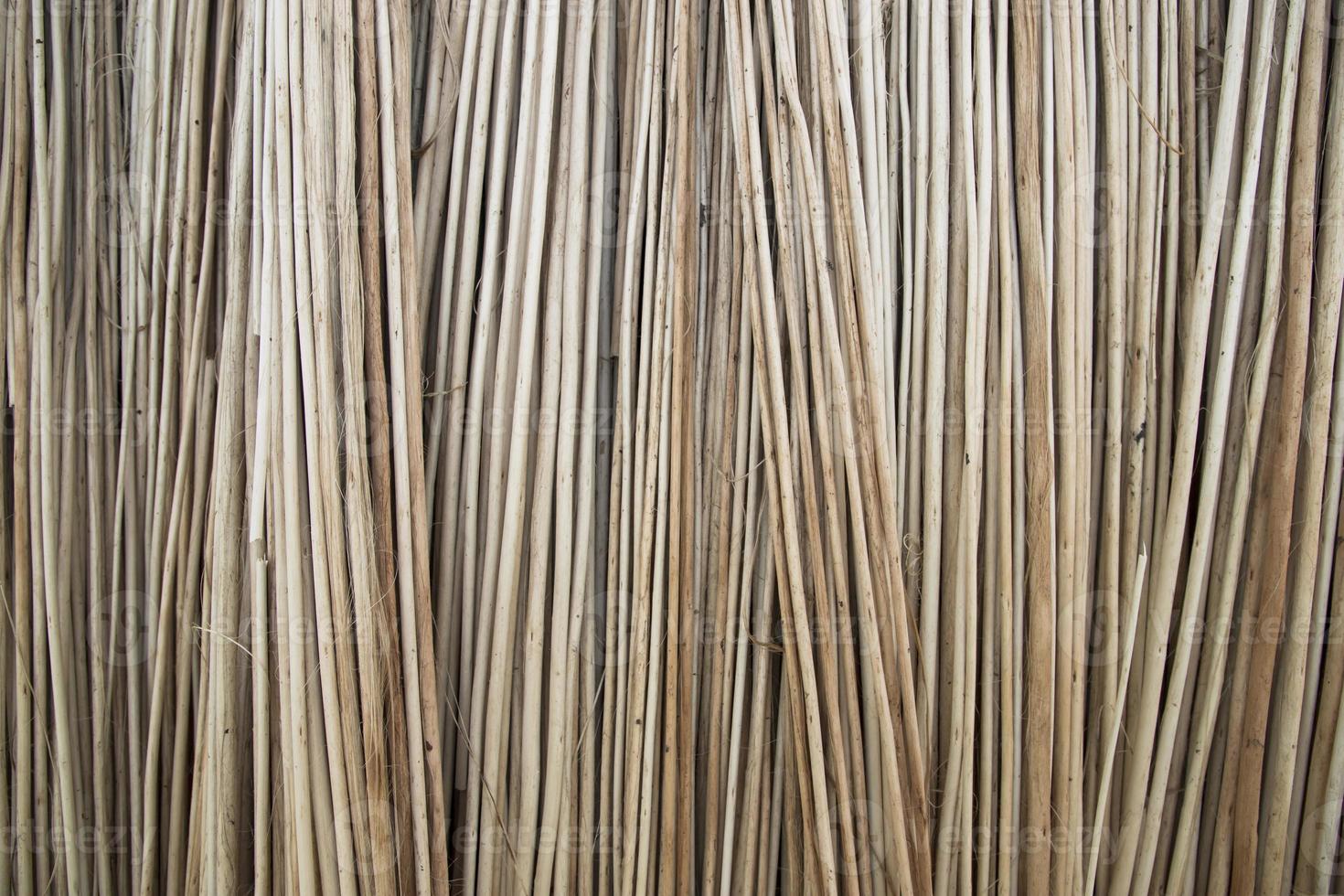 Rows and Rows of brown Jute Sticks Texture background of a field photo