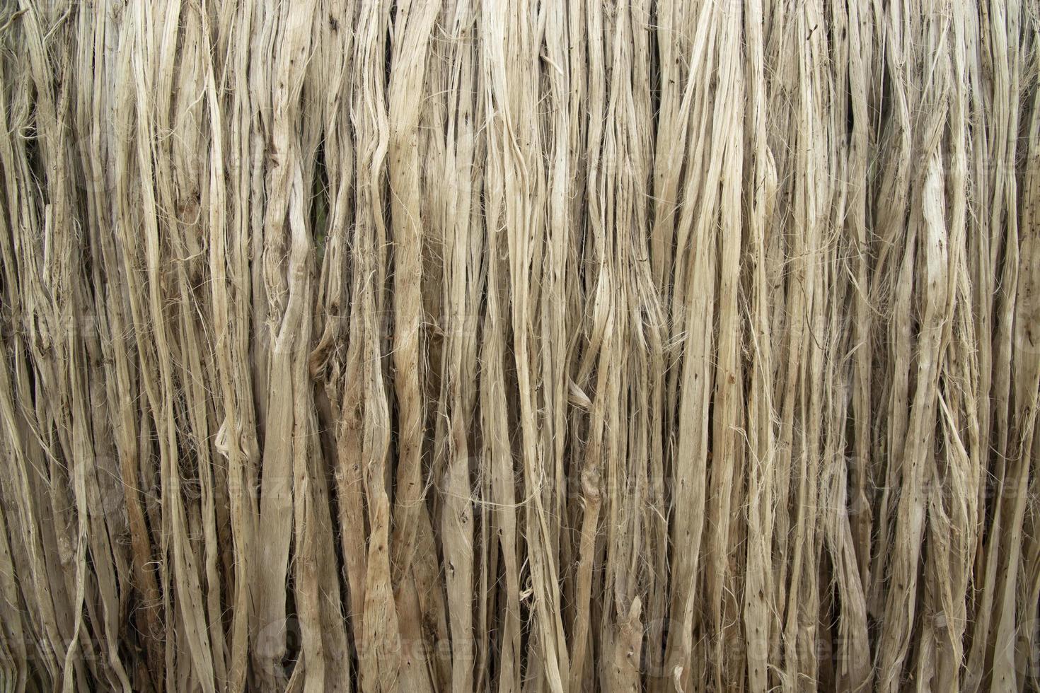 Closeup shot of raw jute fiber hanging under the sunlight for drying. Brown jute fiber texture and  background photo