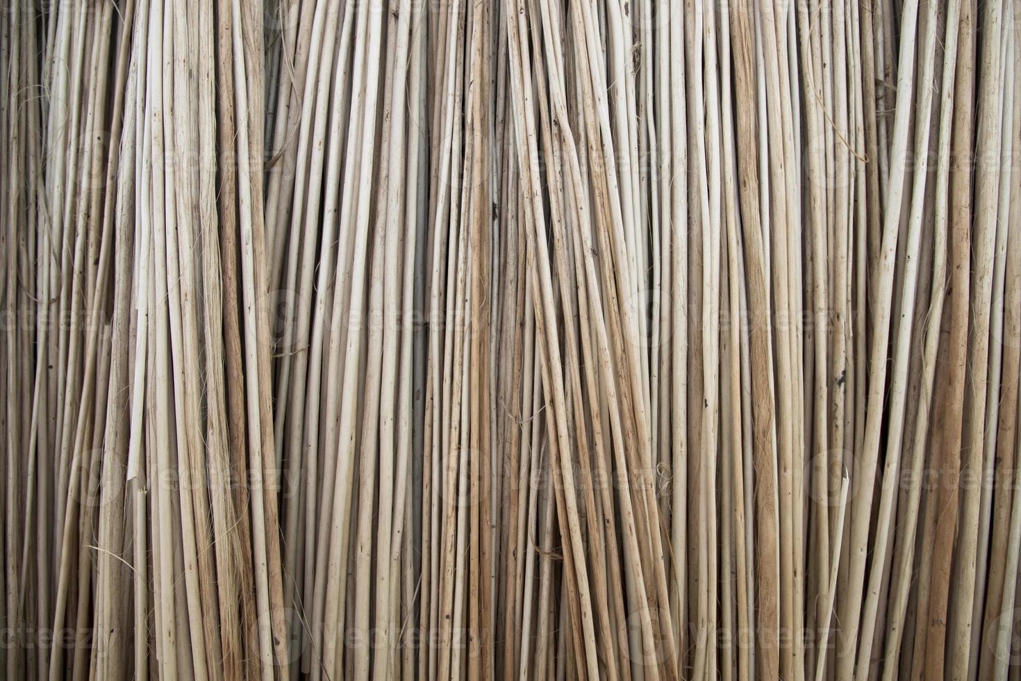 Rows and Rows of brown Jute Sticks Texture background of a field photo