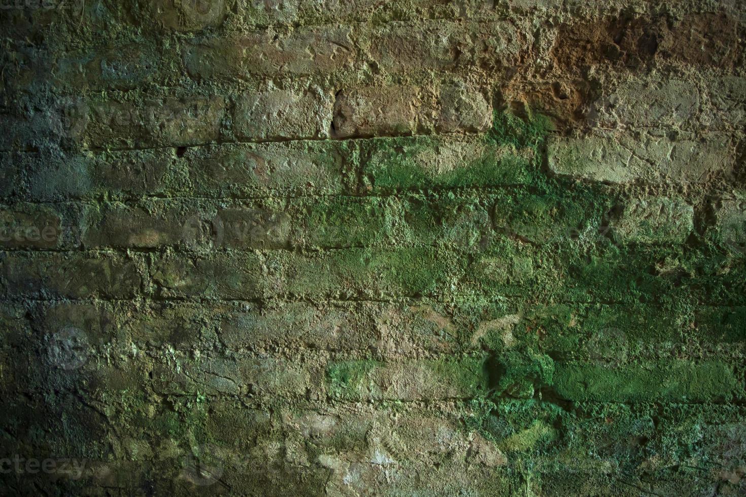 Fungi Green moss on the old brick wall has an abstract background texture photo