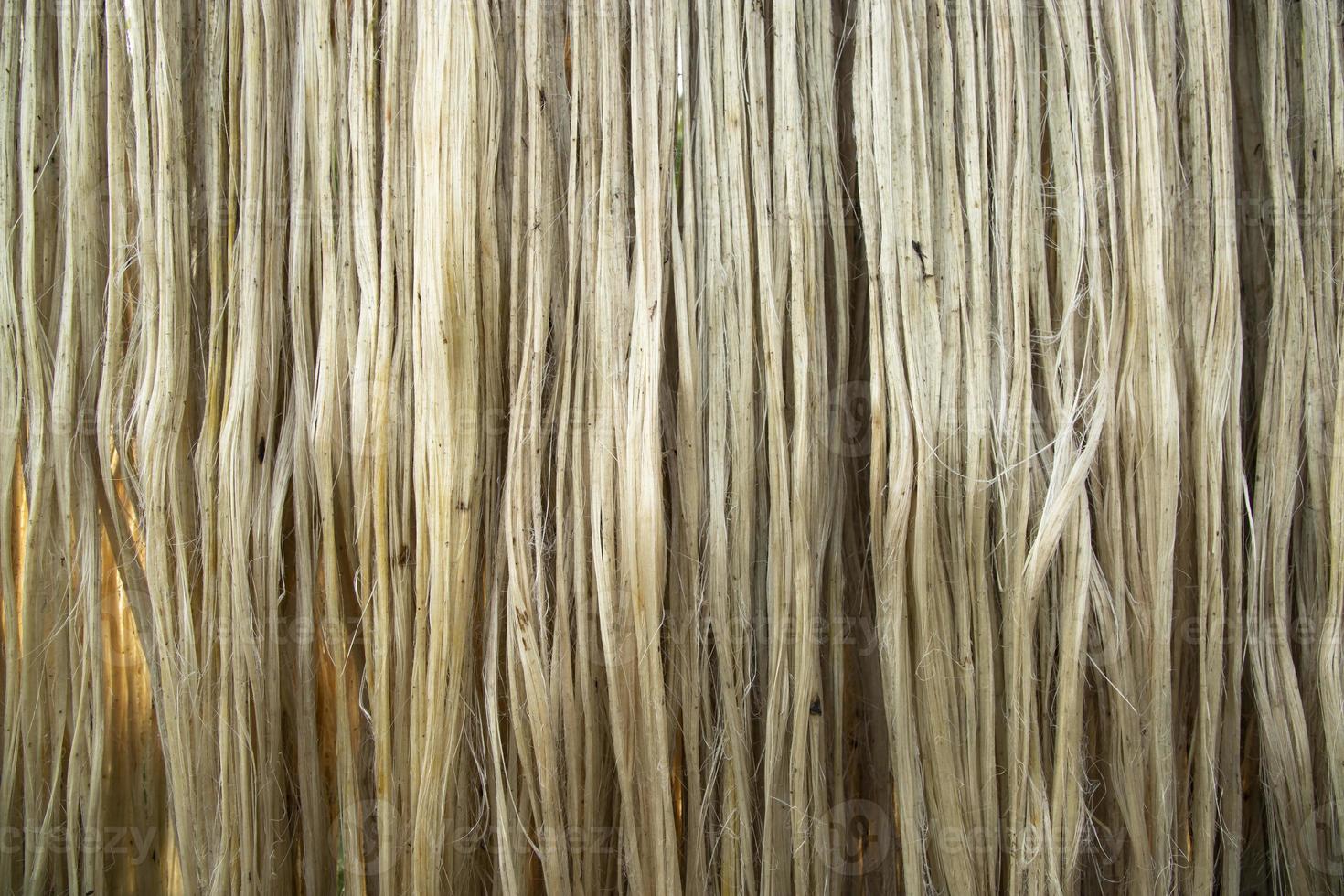 Closeup shot of raw jute fiber hanging under the sunlight for drying. Brown jute fiber texture and  background photo