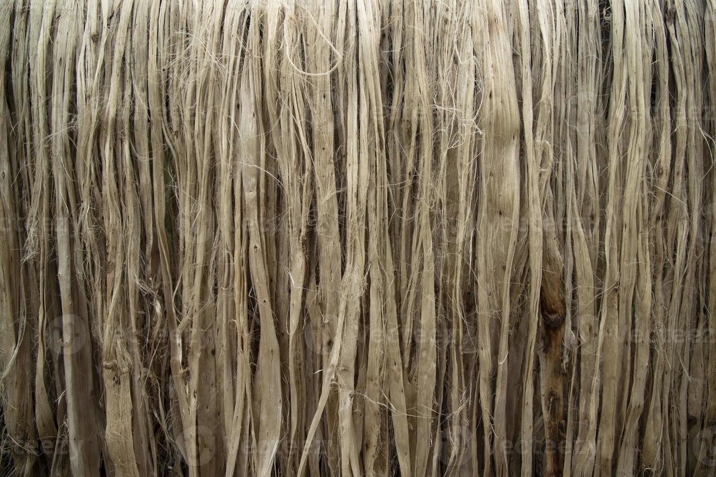 Closeup shot of raw jute fiber hanging under the sunlight for drying. Brown jute fiber texture and  background photo