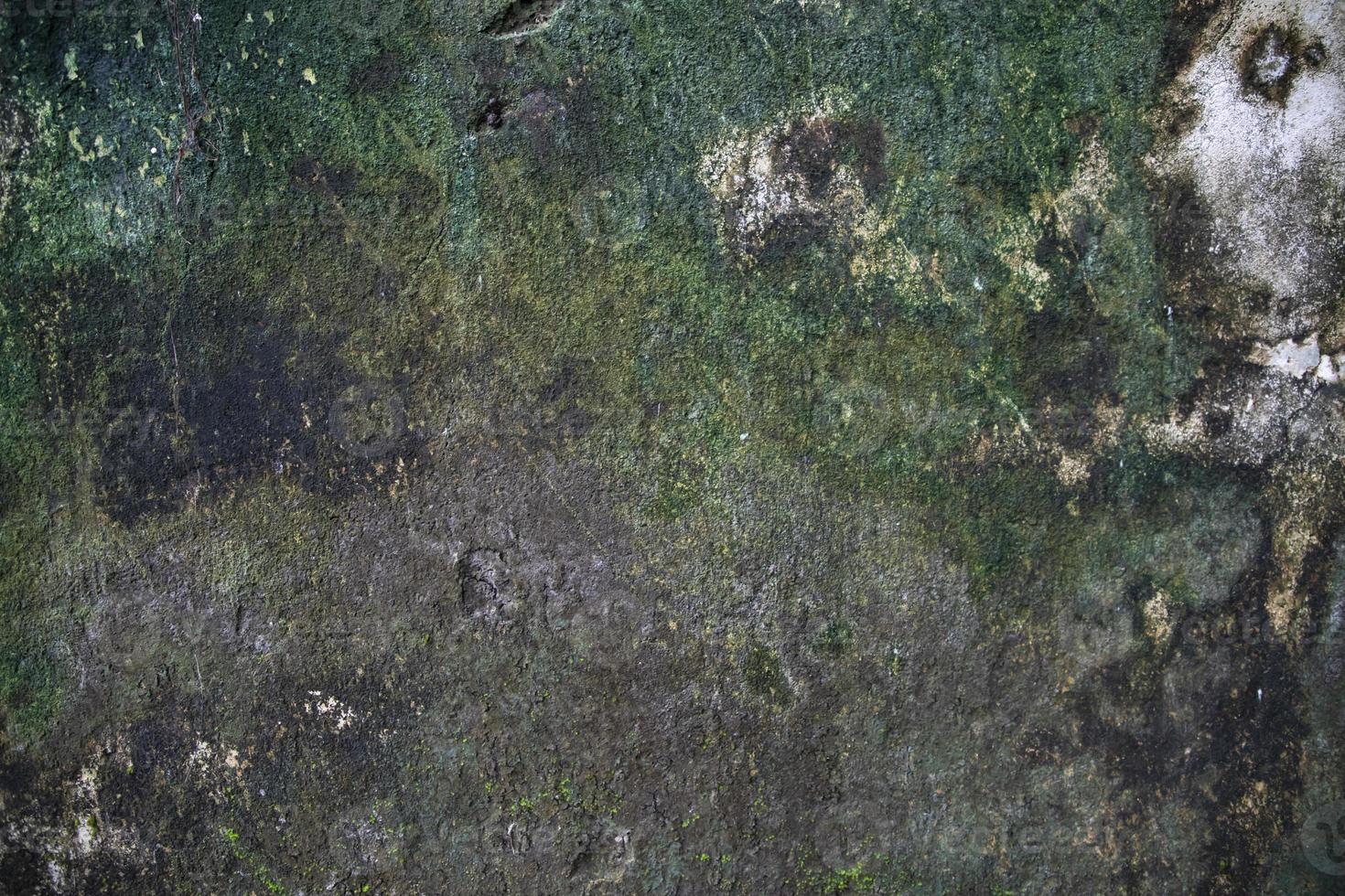 Fungi Green Moss Texture abstract background concrete wall. Rusty, Grungy, Gritty Vintage Background photo