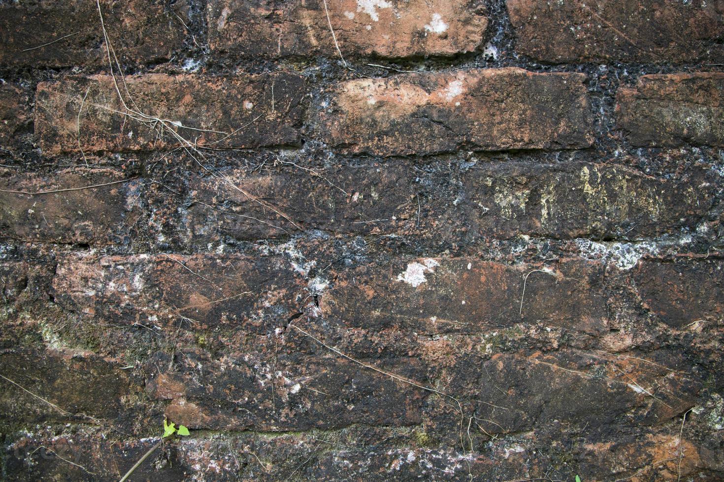 Detailed close-up view of old brick walls at the historical buildings Background Texture photo