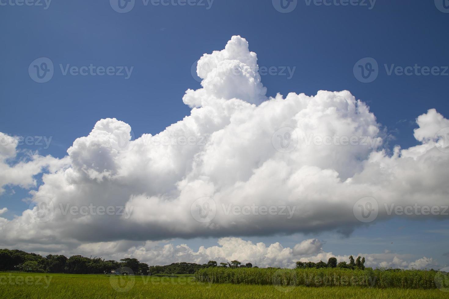 hermosos campos de arroz verde con cielos nublados contrastantes foto