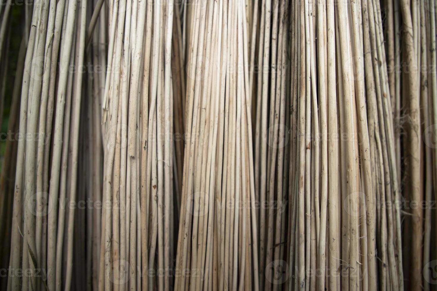 Rows and Rows of brown Jute Sticks Texture background of a field photo