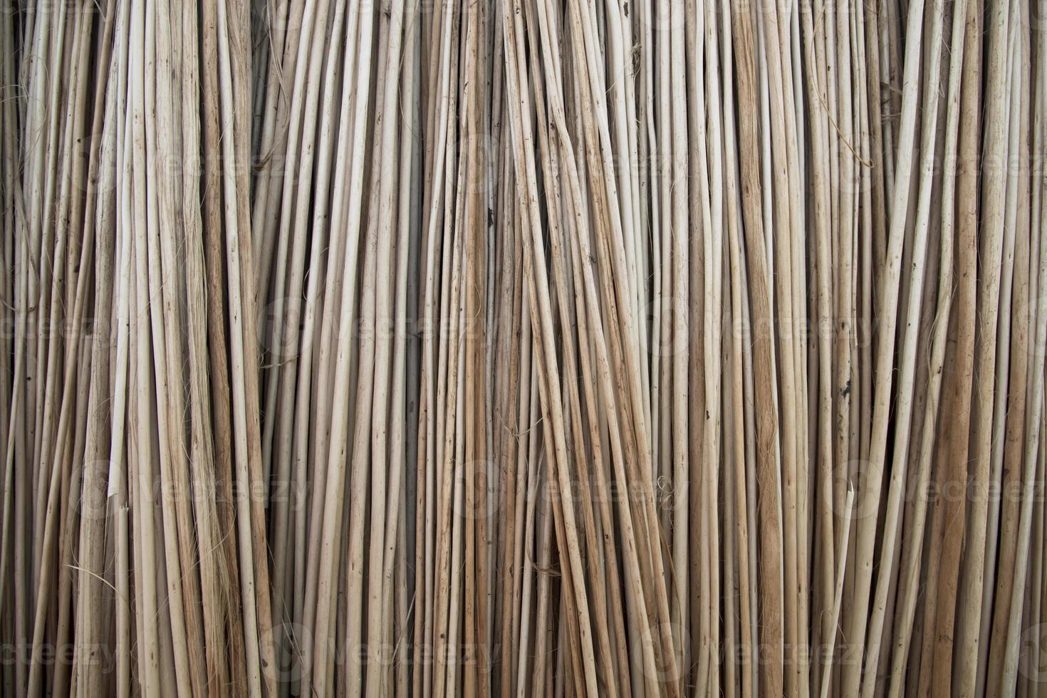 Rows and Rows of brown Jute Sticks Texture background of a field photo