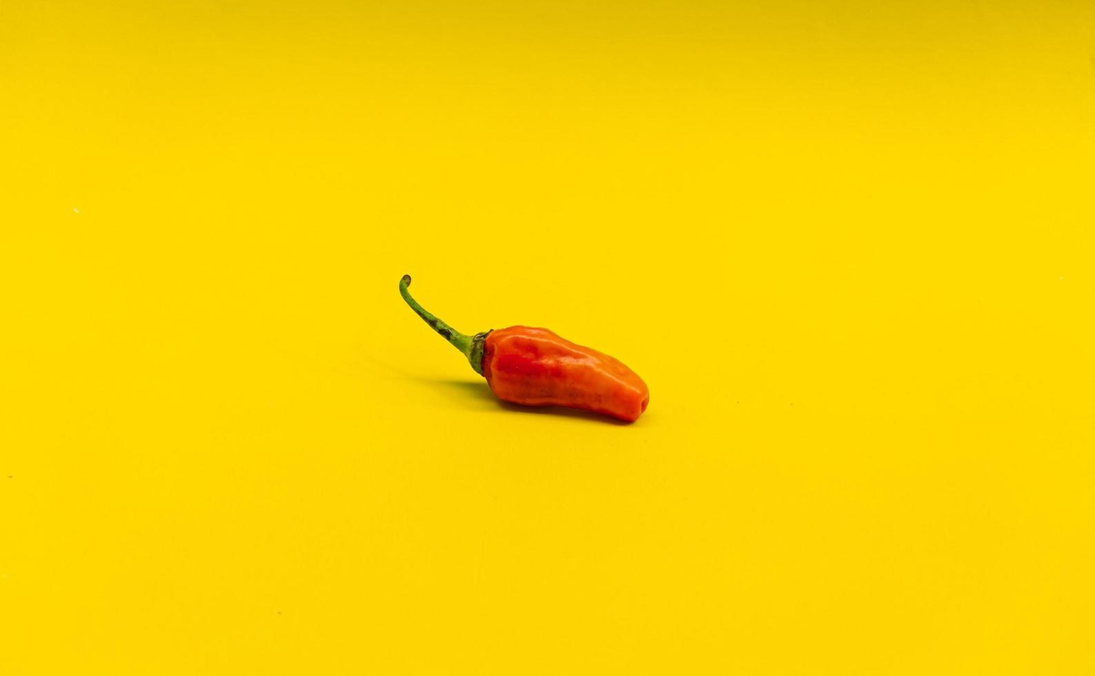 close up photo of red chili with yellow isolated background