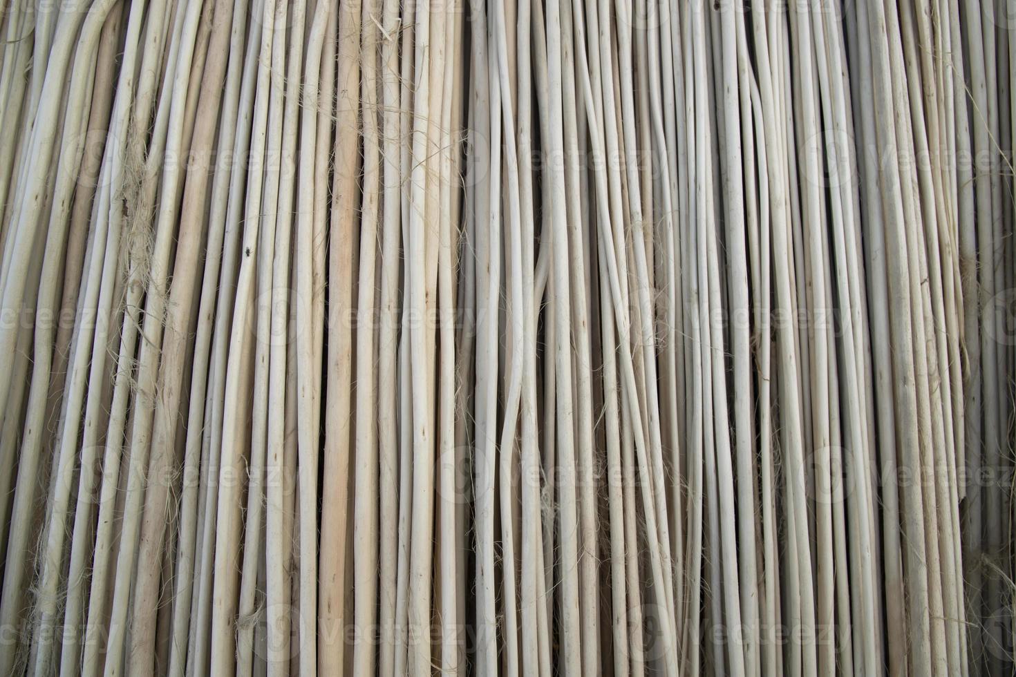 Rows and Rows of brown Jute Sticks Texture background of a field photo