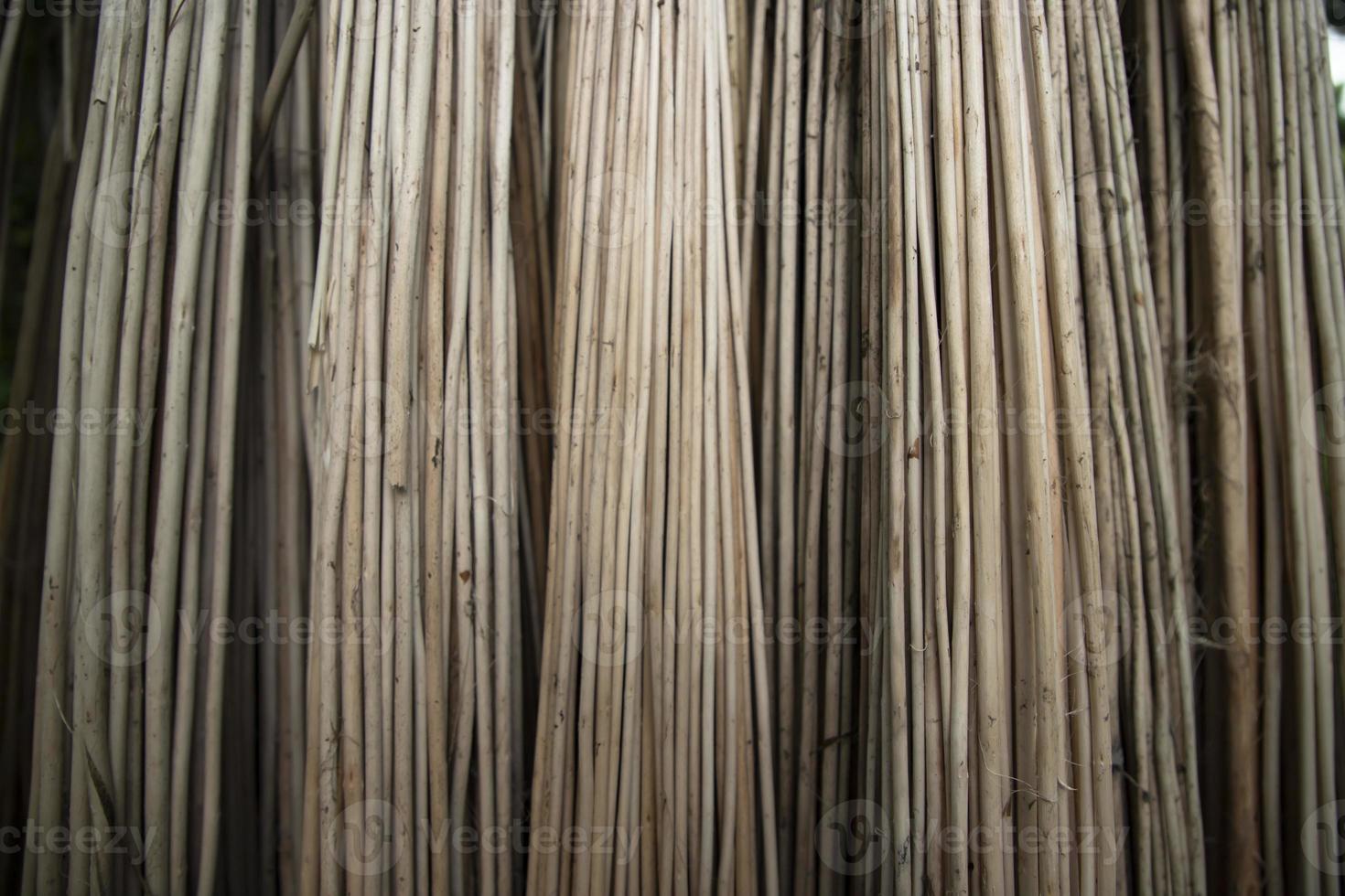Rows and Rows of brown Jute Sticks Texture background of a field photo