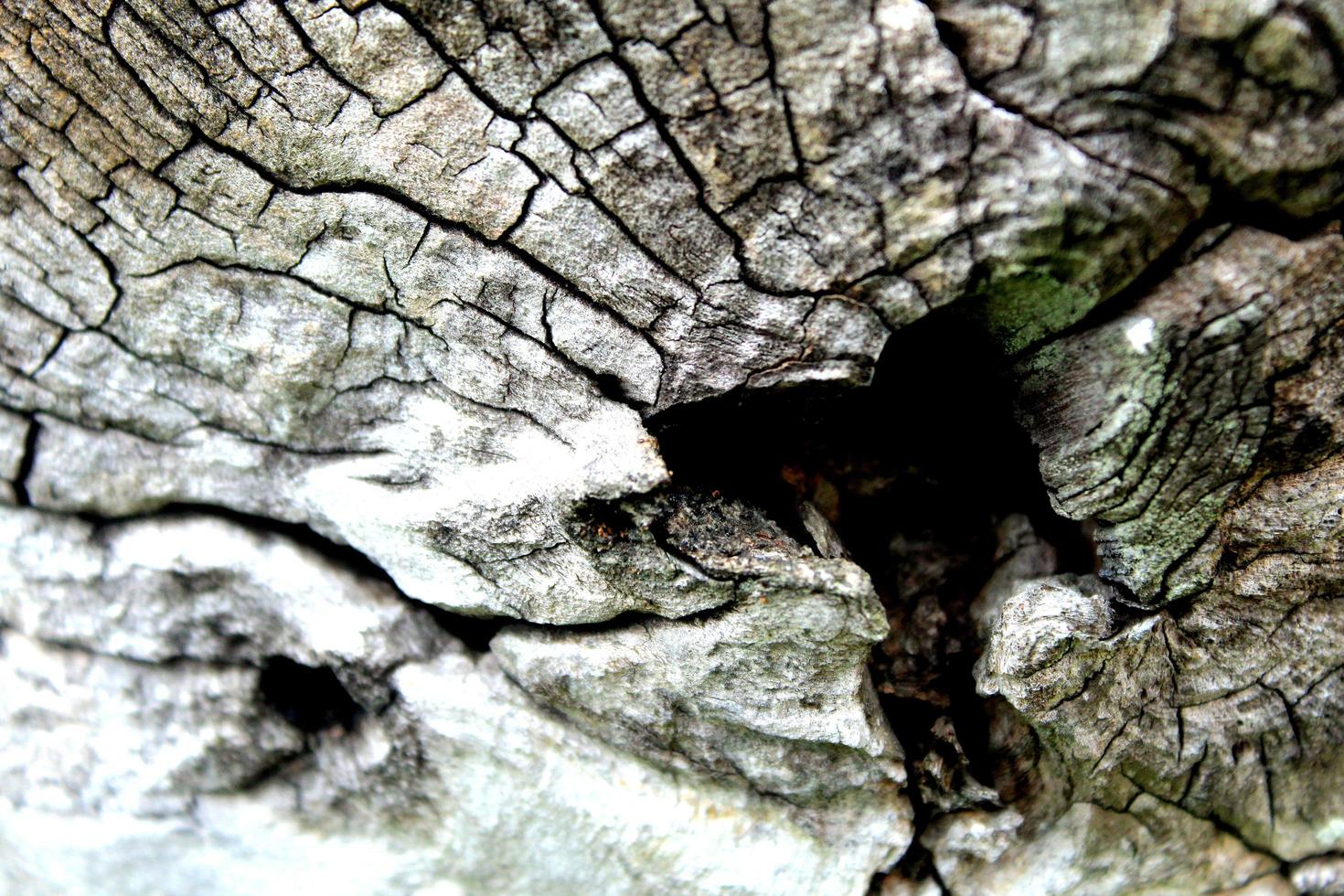 old wood texture photo