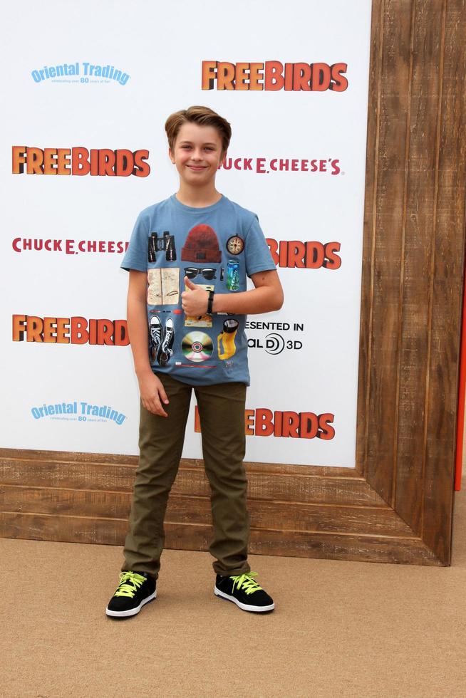 LOS ANGELES, OCT 13 - Jacob Hopkins at the Free Birds Premiere at Village Theater on October 13, 2013 in West Hollywood, CA photo