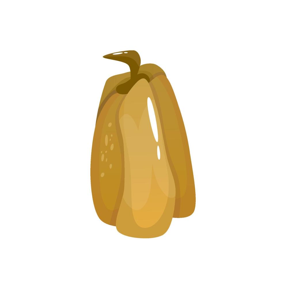 calabaza de otoño, gran diseño para cualquier propósito. calabaza vegetal orgánica. ilustración aislada de vector de dibujos animados. diseño de otoño.