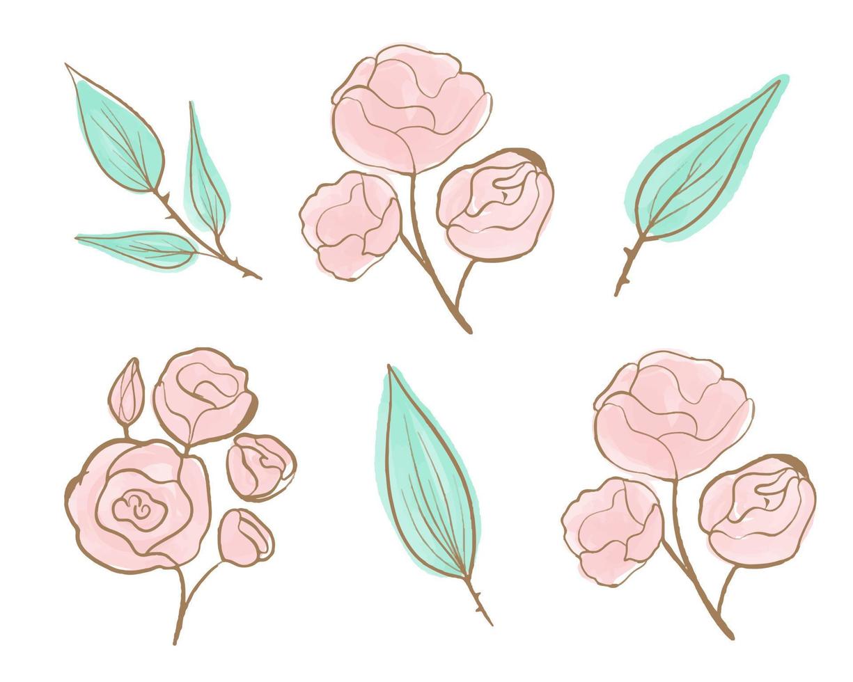 Set of floral branch. Flower pink rose, green leaves. Wedding concept with flowers. Roses drawn with golden one line and pink watercolor. vector