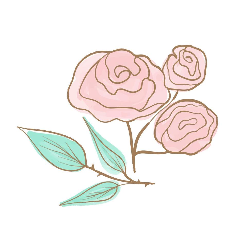 Vector Delicate pink rose flower with golden trim. Watercolor hand drawn illustration. Flower for wedding design.