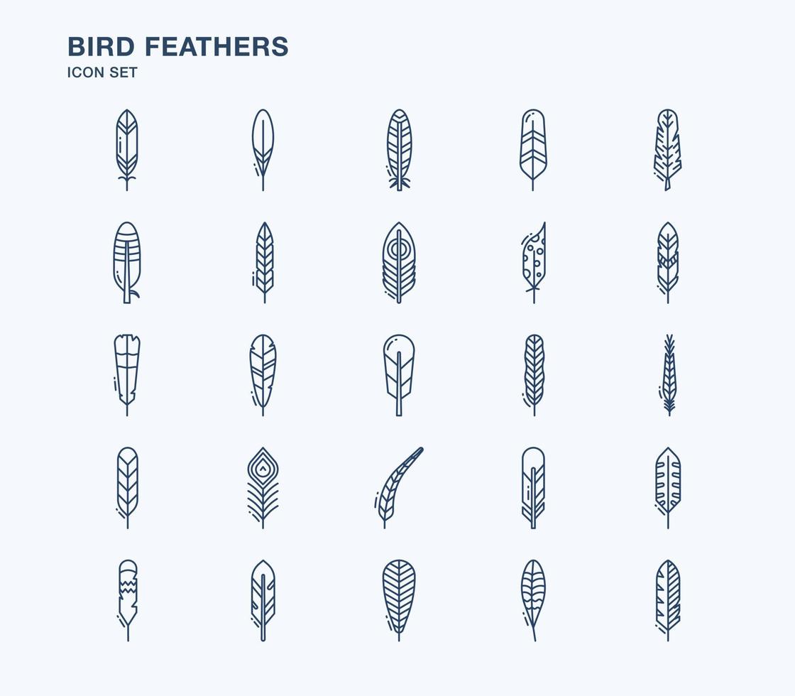 Bird Feathers outline icon set vector