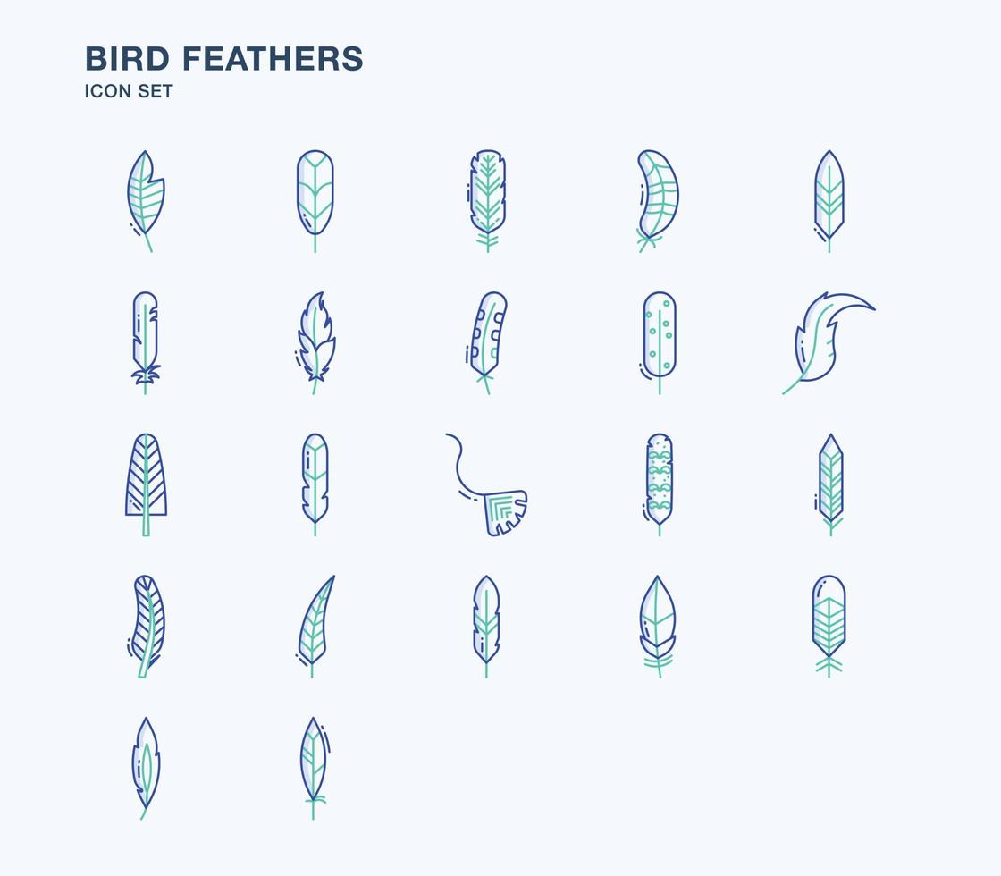 Bird Feathers  outline coloured icon set vector