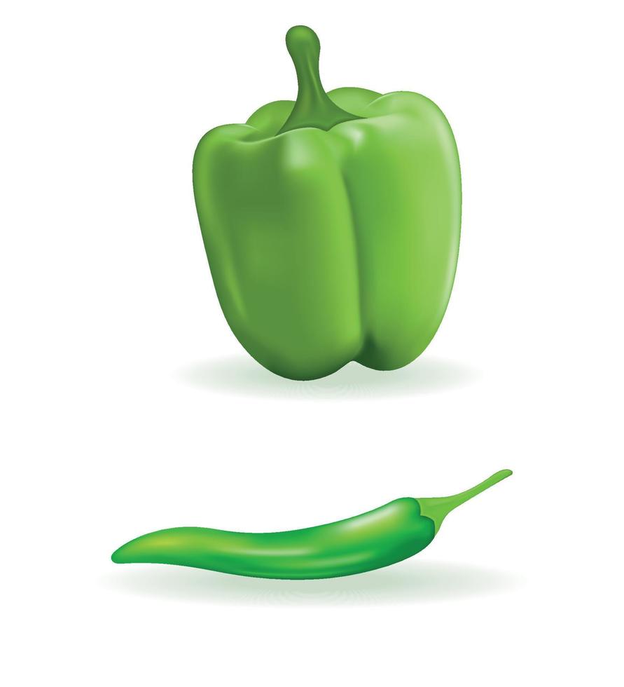 Paprika and chili pepper. Green realistic pepper set isolated on white background. Vegetable, healthy fresh food. Vector 3d