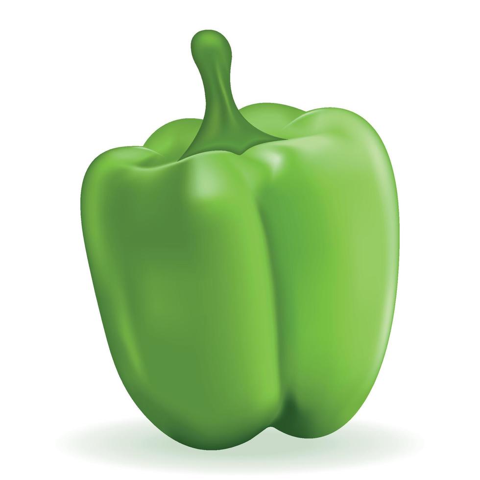 Green realistic pepper isolated on white background. Vegetable, healthy fresh food. Vector 3d