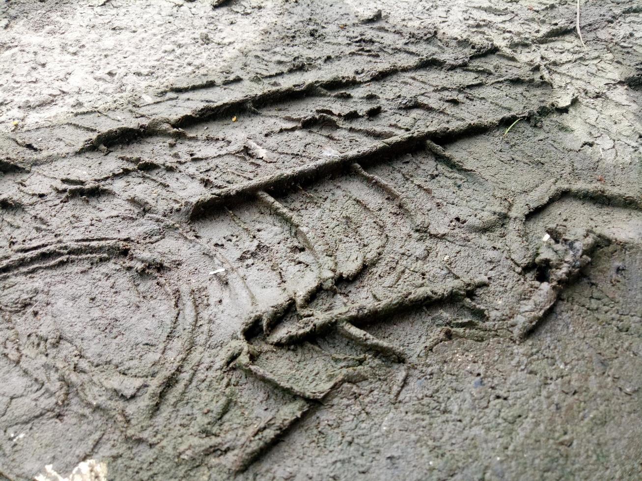 car tire prints on the mud photo