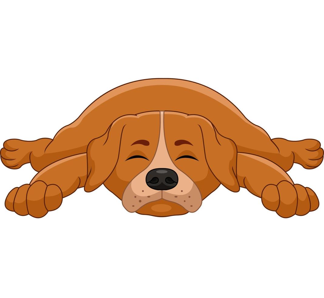 Cute dog cartoon sleeping on white background vector