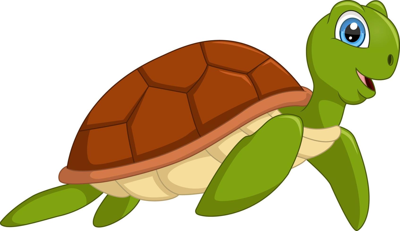 Cute sea turtle cartoon on white background vector