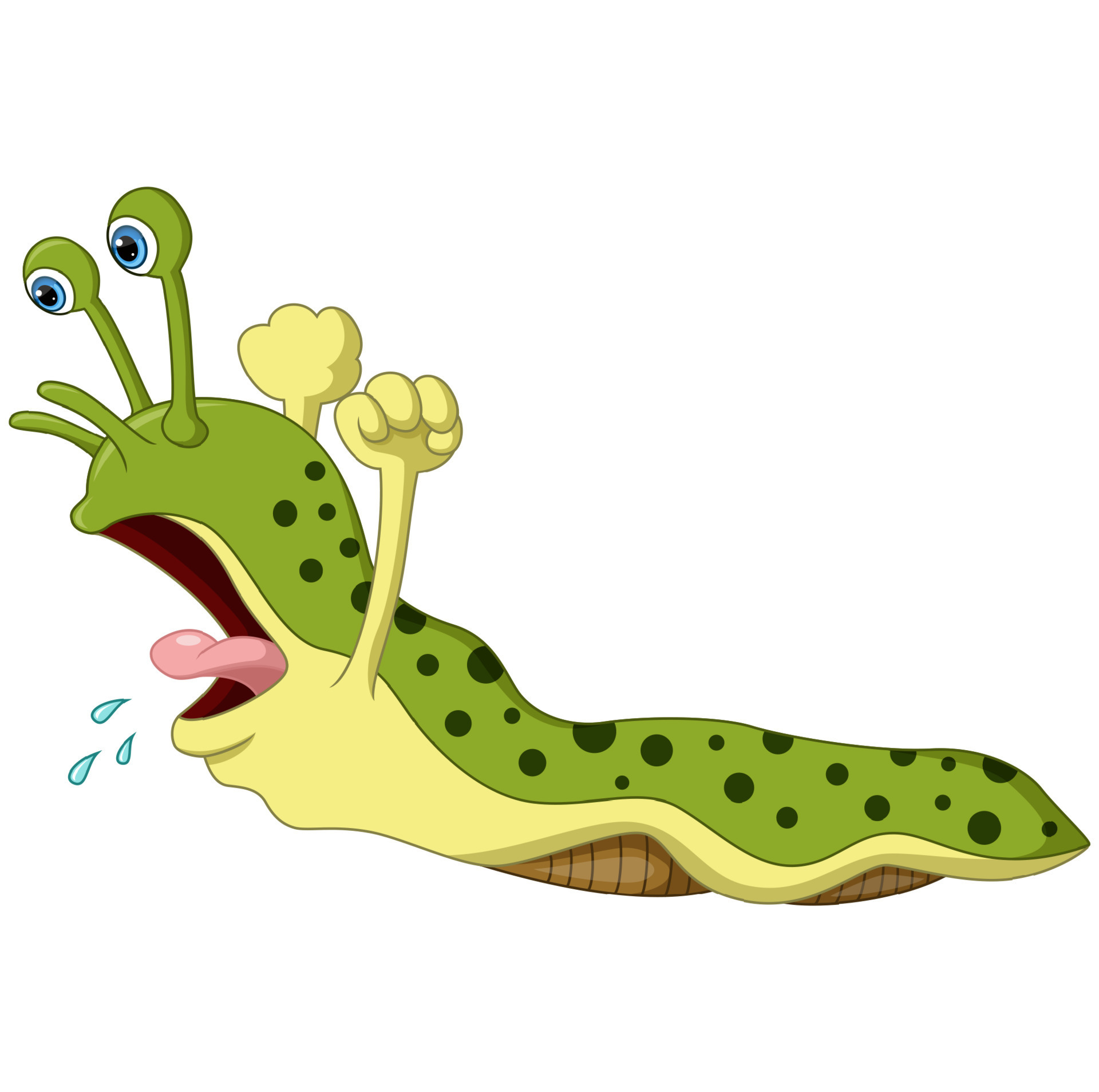 Cute slug cartoon isolated on white background 9780648 Vector Art at