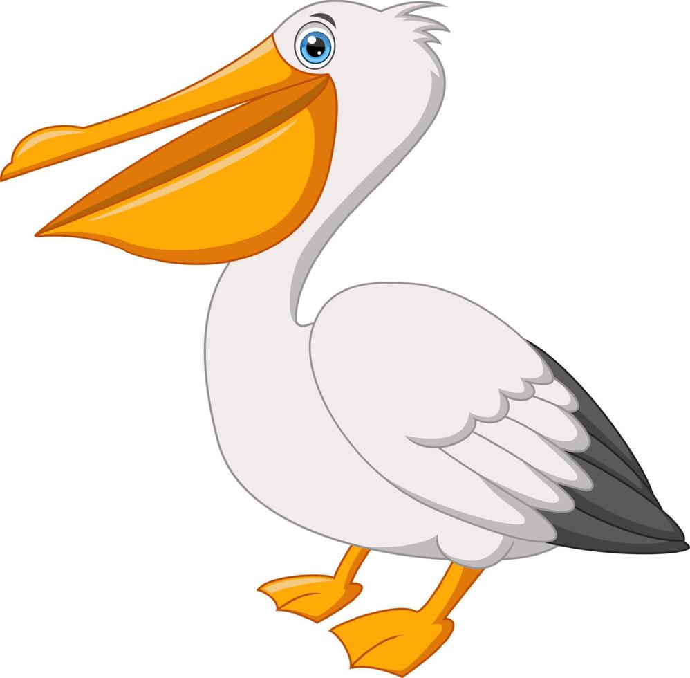 Cute pelican cartoon isolated on white background vector