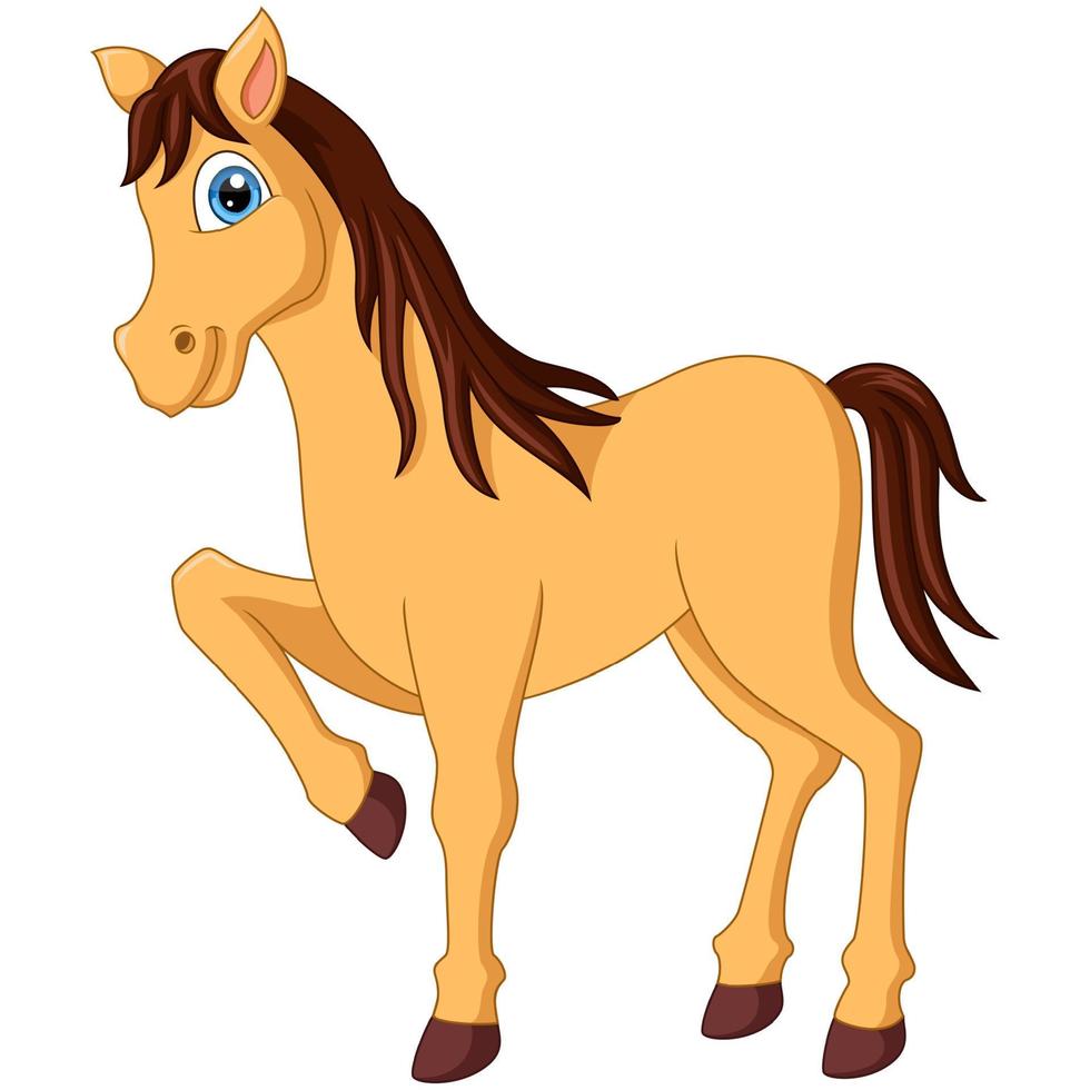 Cute brown horse cartoon on white background vector