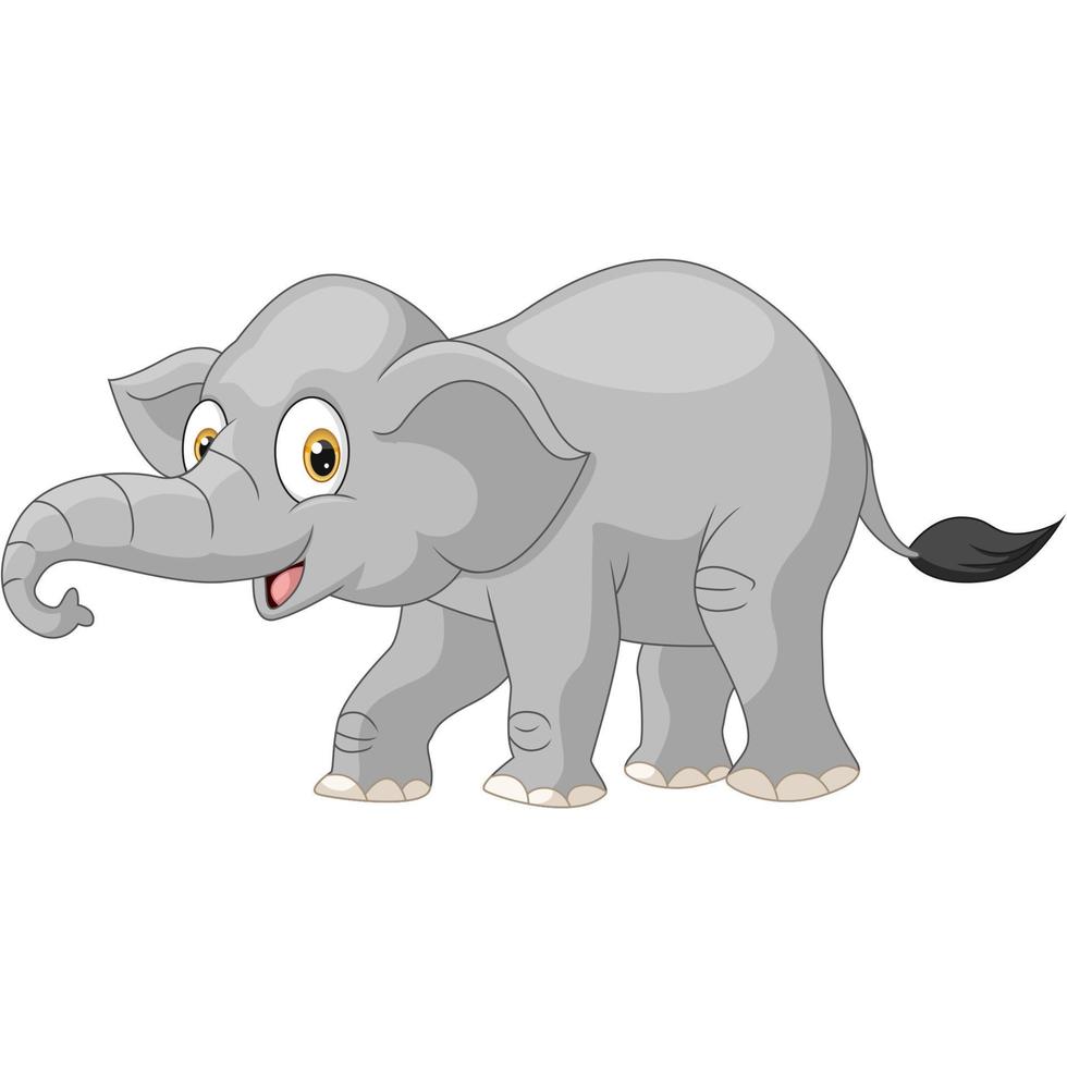 Cute elephant on white background vector