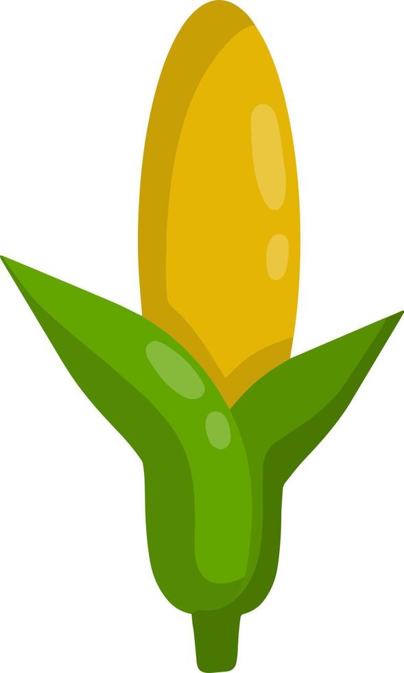Corncob. Yellow green plant. Farming item. Corn and maize. Natural food. Cartoon flat illustration vector