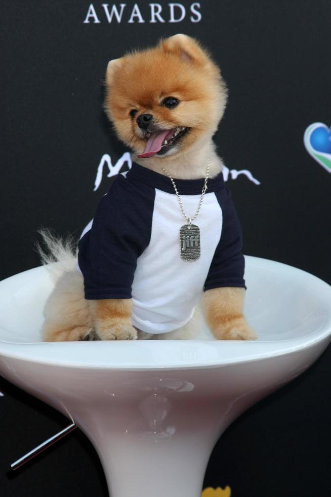 LOS ANGELES, MAY 12 - Jiff at the Children s Justice Campaign Event at the Private Residence on May 12, 2015 in Beverly Hills, CA photo