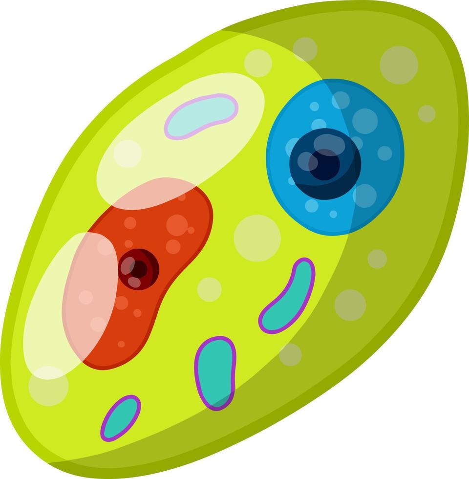 Green cell of the plant. Element of biology. vector