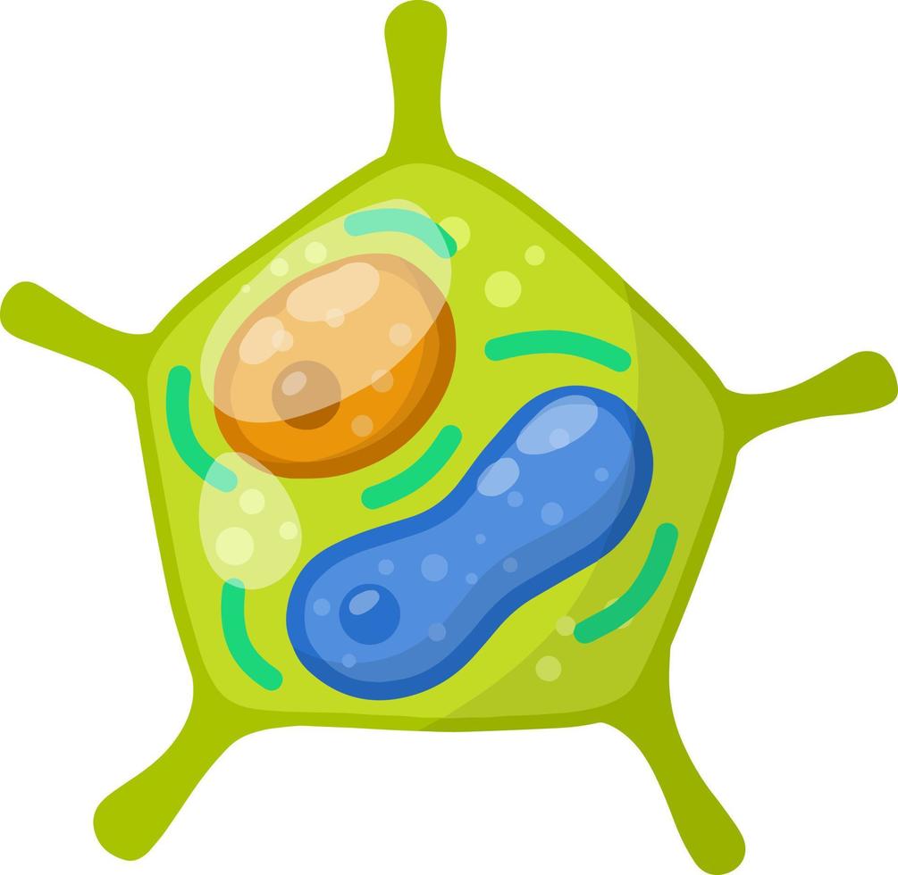 Green cell of the plant. Element of biology. vector