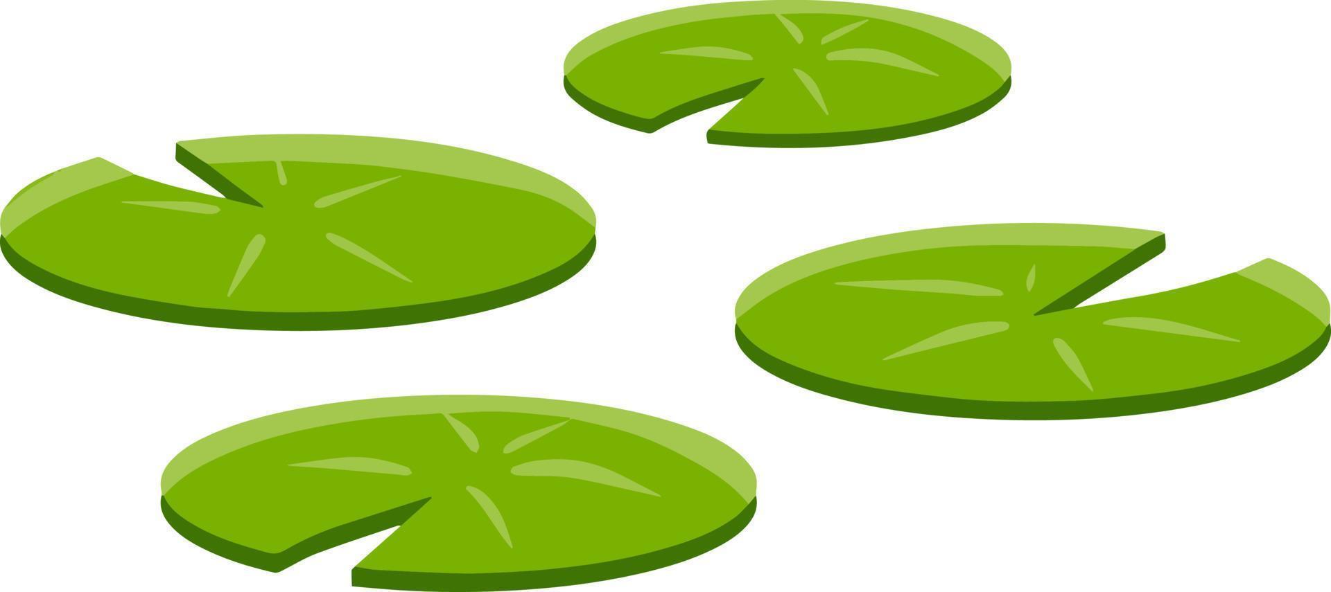 Nenuphars. Water lily. Plant on lake and pond vector