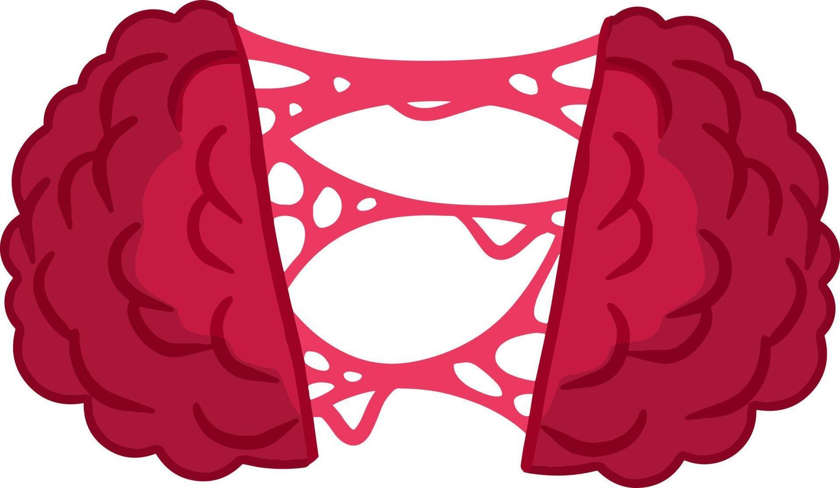 Human brain. Cut organ with pink slime. Funny object. Right and left hemispheres of head. Medical operation. Cartoon flat illustration 9783351 Vector Art at Vecteezy Human brain. Cut organ with pink slime. Funny object. Right and left hemispheres of head. Medical operation. Cartoon flat illustration 9783351 Vector Art at Vecteezy