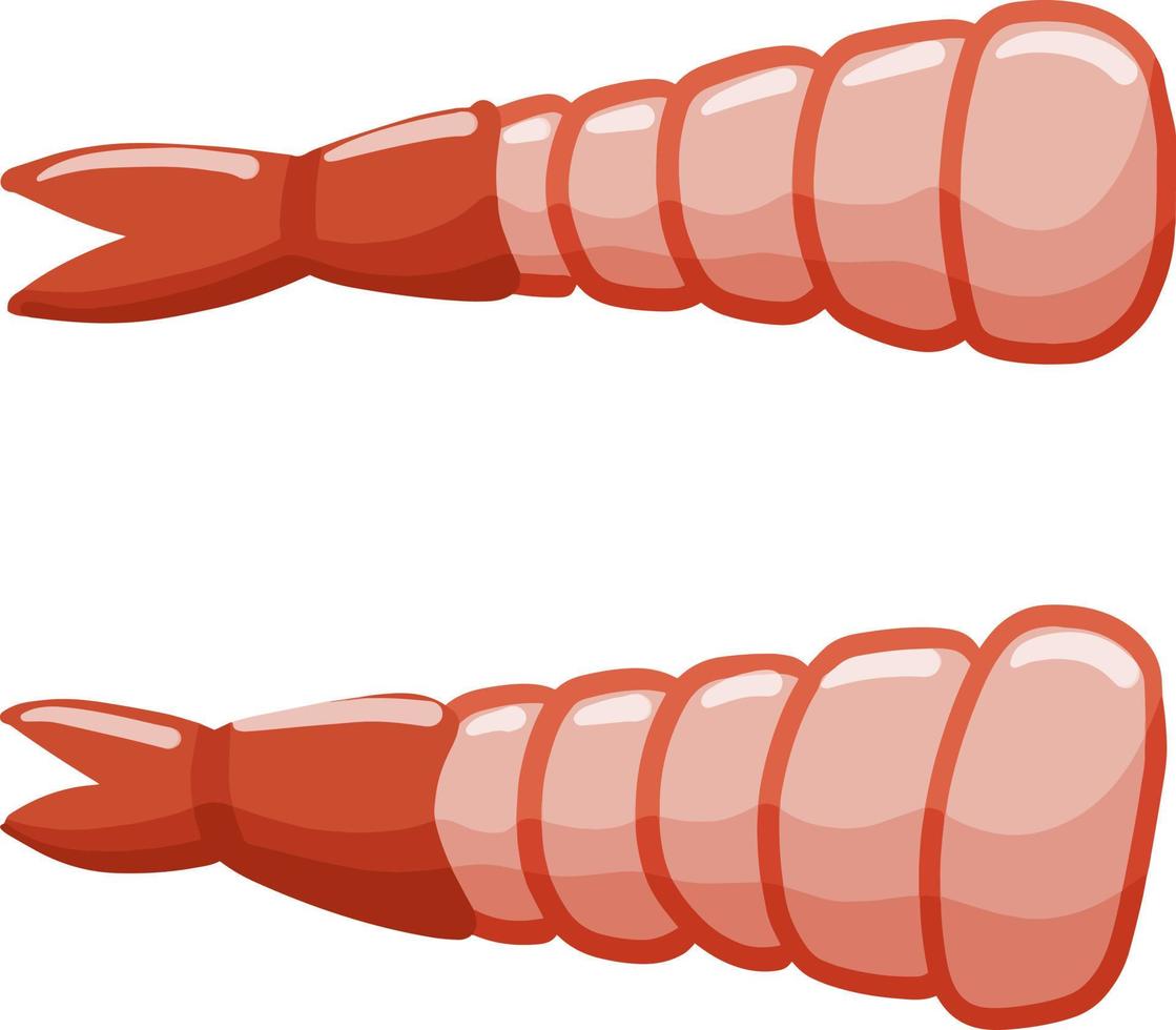 Shrimp. Meat and seafood. Tail of sea animal. vector